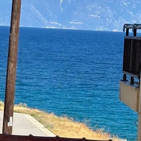 Kypriotis Leonidas Lejlighed *